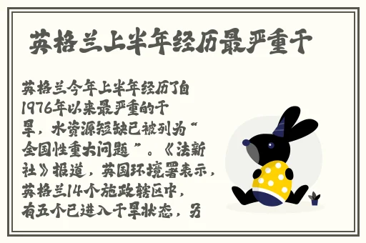 芒果回家不迷路最新版本更新内容
